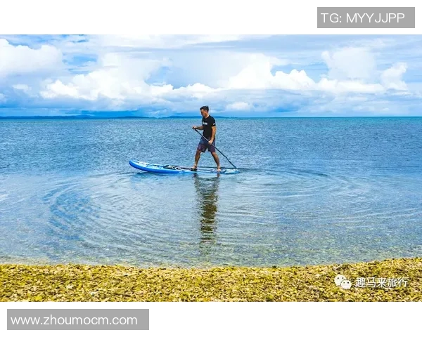 重庆极限运动队团队协作的成功之道与挑战分析